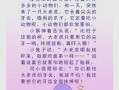 儿童强不睡相守夜欢哗是什么节日;儿童强不睡的下一句