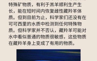 藏羚羊迁徙(藏羚羊迁徙的原因是什么)