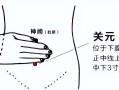 关元穴位位置图(关元穴位位置图大全)