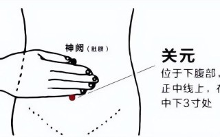 关元穴位位置图(关元穴位位置图大全)