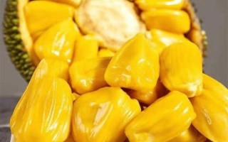 菠萝蜜成熟视频-菠萝蜜成熟视频大全
