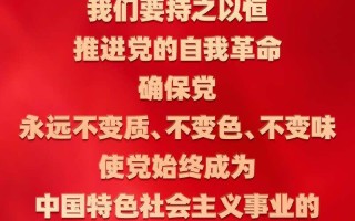 对党忠诚老实_对党忠诚老实的句子