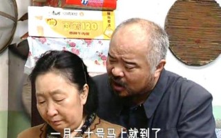 东北坑上全家乱日(东北乱炖一家人)