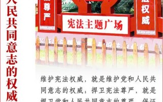 必须以宪法为根本的活动准则;必须以宪法为根本活动准则的有哪些