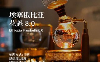 埃塞尔比亚咖啡-埃塞尔比亚咖啡豆是什么品种