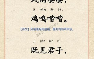 悲楚的拼音(悲楚的拼音和意思)