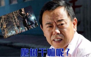 观众为了看潘长江演出爬上树(观众为了看潘长江演出爬上树的电影)