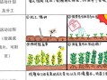 二年级四季农事活动顺序-二年级四季农事活动顺序答案