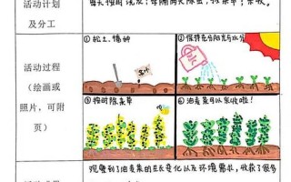 二年级四季农事活动顺序-二年级四季农事活动顺序答案