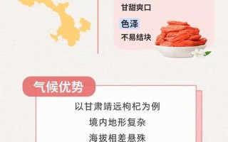 枸杞的产地;枸杞的产地主要在哪里
