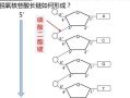 关于dna分子的结构是的信息-关于dna结构的描述错误的是